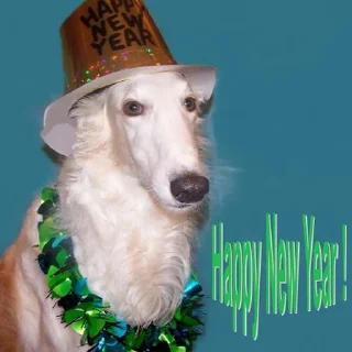 🎄