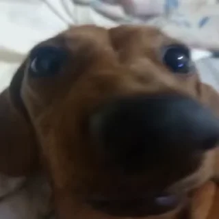 😃
