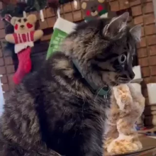 😳