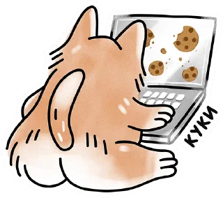 🍪