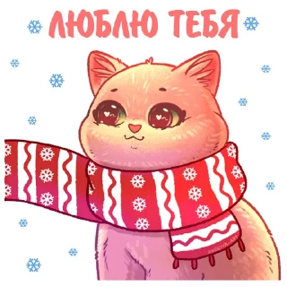 🧣