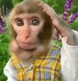 😐