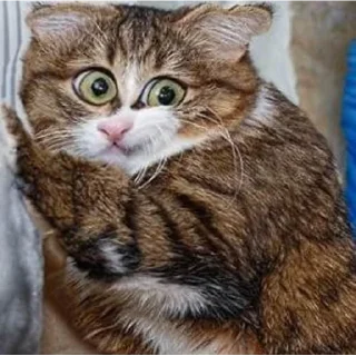 🤨