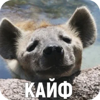 😌