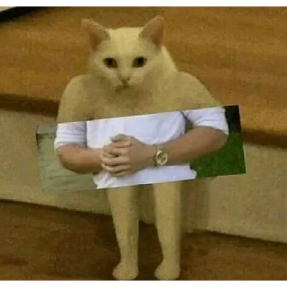👊