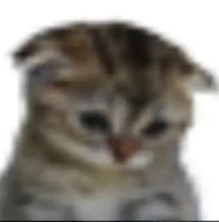 😺