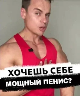 Спартак (@abc_sticker)