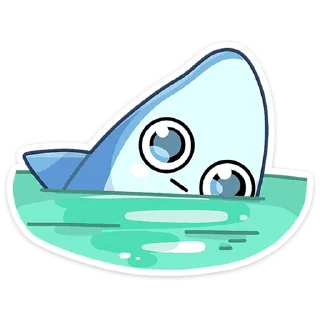 🦈