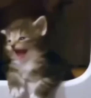 😕