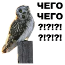 ⁉