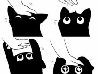 🐱