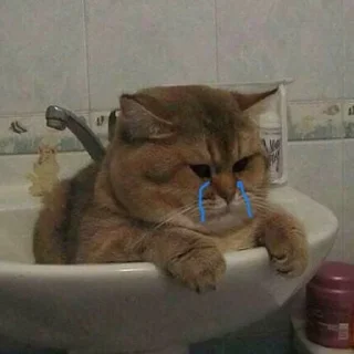 😢