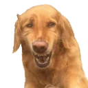 😬