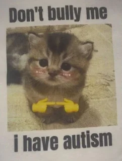 😼