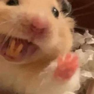👋