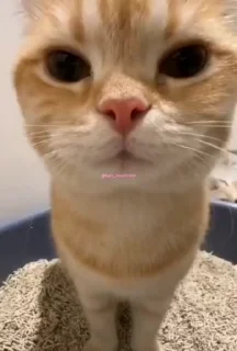 😁