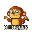 🤪