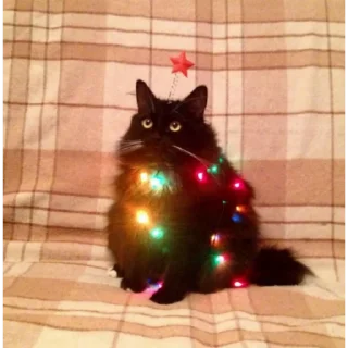 🎄