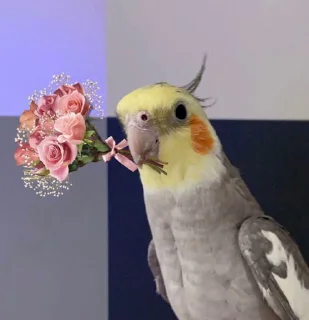 💐