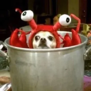 🦀
