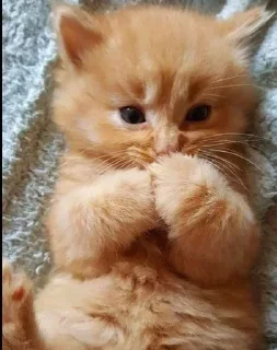 😣