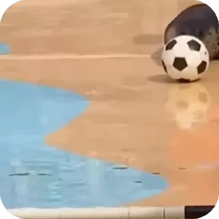 🤩