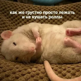 😢