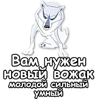 💪