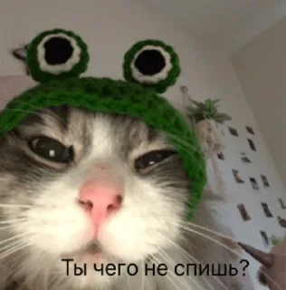 ❓