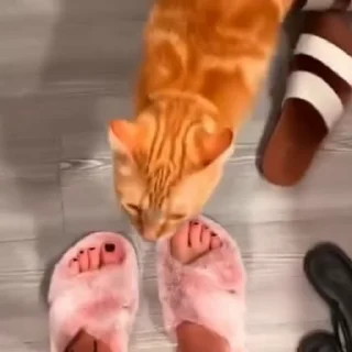 😥