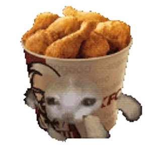 🫘