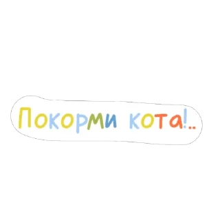 🐈