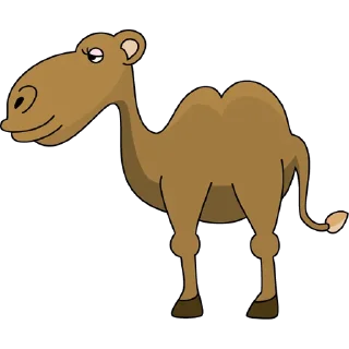 🐫