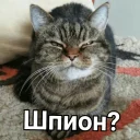 😑
