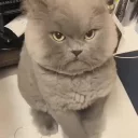 😒