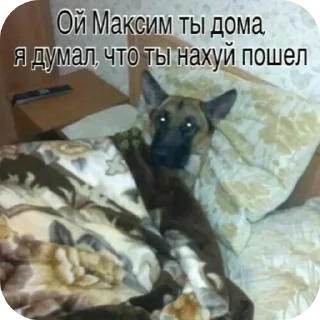 😨