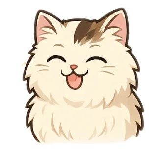 🐱