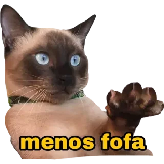 ✋