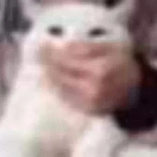 🫢
