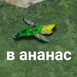 📦