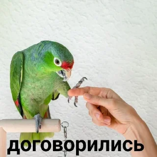 🤝