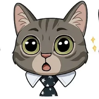 🐱