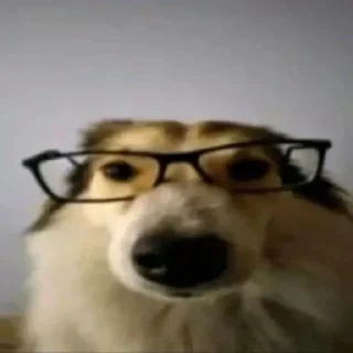 🌟