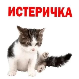 😄