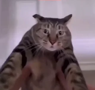😕