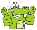 🐊