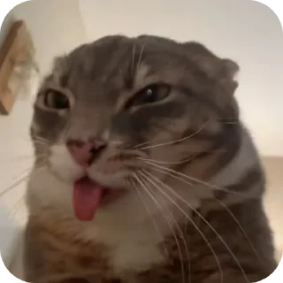👍