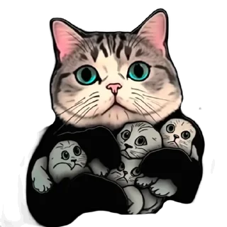 😹
