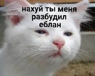 😫