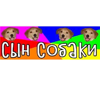 🐶